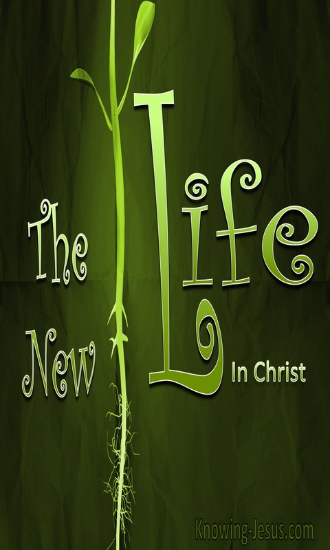 The New Life (devotional) (green)